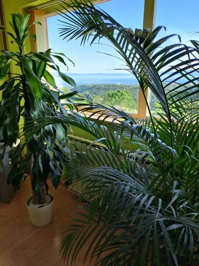 Kuca Za Odmor Vista Mare Villa Marinici  Kültér fotó